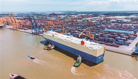 Công ty cổ phần Đầu tư và Phát triển Cảng Đình Vũ