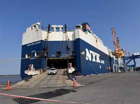 Chiều 29 Tết – Không khí nhộn nhịp trên các bến cảng của Cảng Hải Phòng