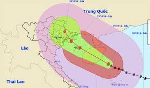 Announcement about stop of cargo activities because of Storm No. 7 (Sarika) in Tan Vu Port Branch