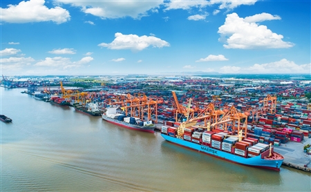 Điều chỉnh, bổ sung giá dịch vụ cảng biển tại Cảng Hải Phòng năm 2024