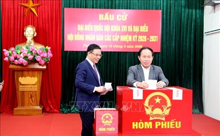 Cử tri thành phố Cảng rạng rỡ trong ngày hội của niềm tin và đoàn kết