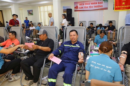 CẢNG HẢI PHÒNG TIẾP NHẬN 229 ĐƠN VỊ MÁU TẠI NGÀY HỘI HIẾN MÁU TÌNH NGUYỆN NĂM 2026