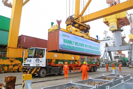 CẢNG TÂN VŨ (CÔNG TY CP CẢNG HẢI PHÒNG) ĐÓN TUYẾN DỊCH VỤ MỚI CỦA HÃNG TÀU DONGJIN