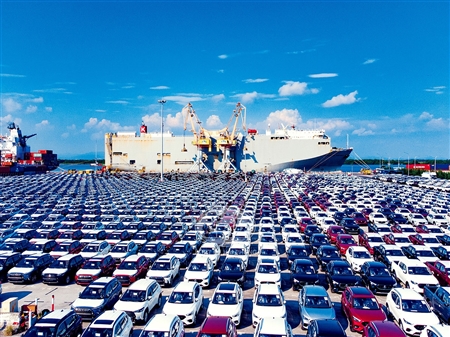 Port of Hai Phong Monthly Newsletter 2024