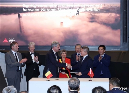 VIMC và Cảng Antwerp – Bruges ký thỏa thuận hợp tác toàn diện, thúc đẩy kết nối hàng hải Việt Nam – Châu Âu