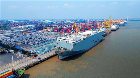 CẢNG TÂN VŨ TIẾP TỤC ĐƯỢC HÃNG TÀU K LINE TRAO TẶNG CHỨNG NHẬN “ZERO DAMAGE” NĂM 2025