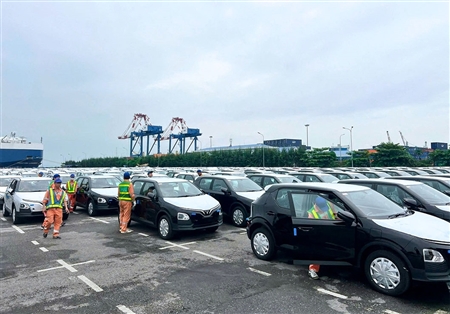 Cảng Tân Vũ lần đầu tiên khai thác đồng thời hai tàu RoRo quy mô lớn